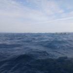 Ruderboot im ruppigem Wasser