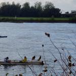 Zieleinfahrt in Düsseldorf