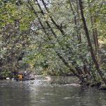 Im Spreewald