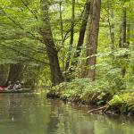 Im Unterspreewald