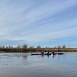 C3x- Ruderboot auf der Elbe