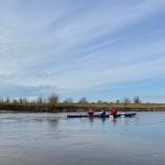 C3x- Ruderboot auf der Elbe