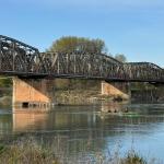 Ruderboot auf dem Po