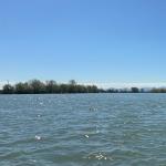 Steuerfrau auf dem Po