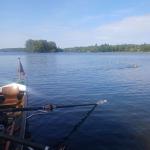 Badepause am Mälaren